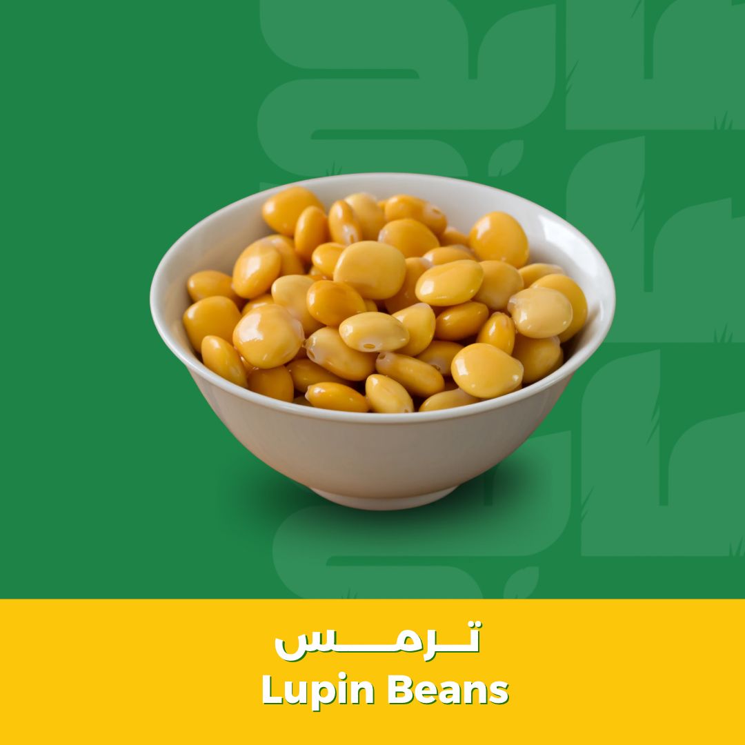 ترمس